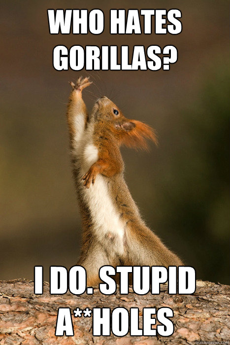 who hates gorillas? i do. stupid a**holes - who hates gorillas? i do. stupid a**holes  Who Run The World Squirrels