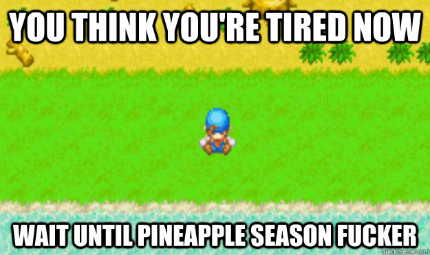 You think you're tired now wait until pineapple season fucker - You think you're tired now wait until pineapple season fucker  Harvest Moon