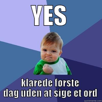 YES KLAREDE FØRSTE DAG UDEN AT SIGE ET ORD Success Kid