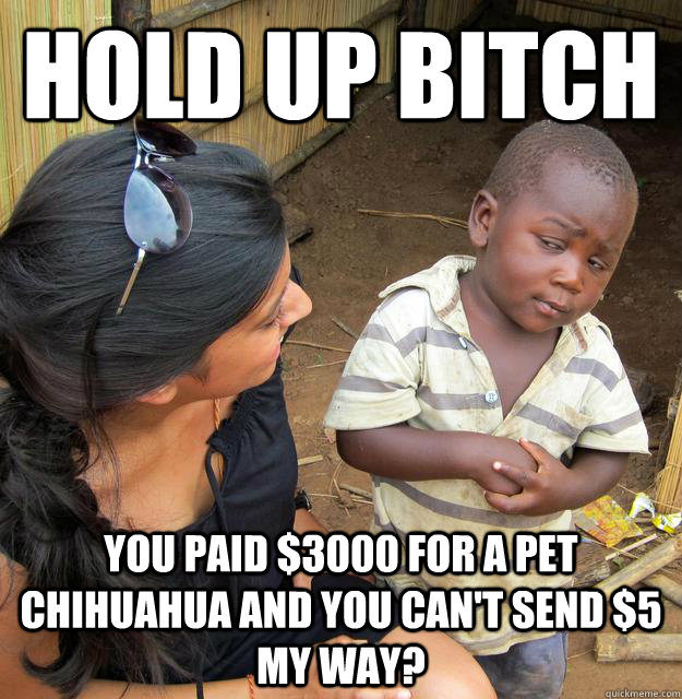 hold up bitch you paid $3000 for a pet chihuahua and you can't send $5 my way?  Skeptical Third World Kid