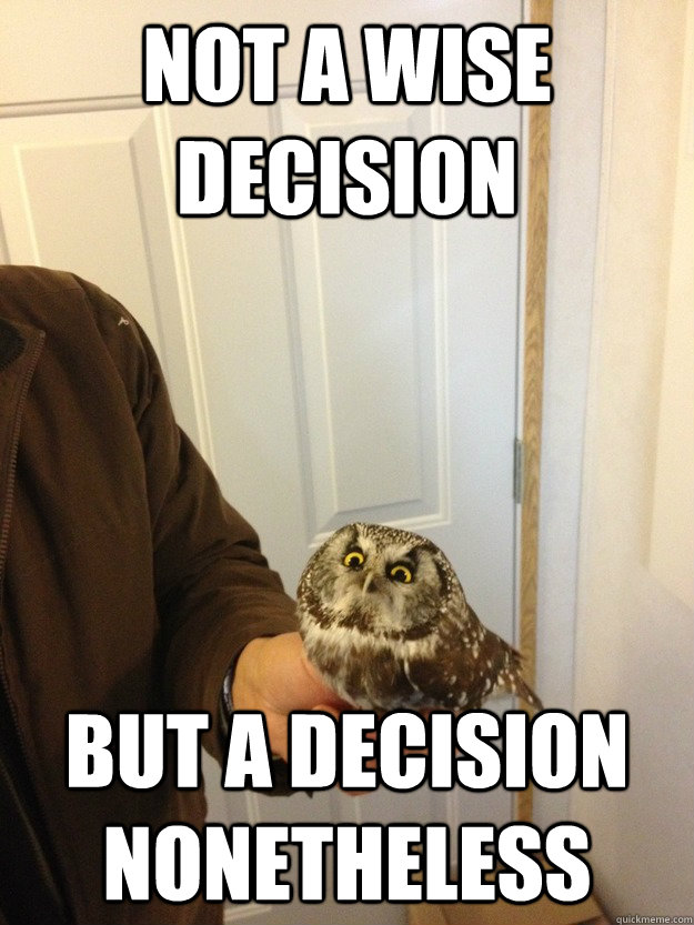 Not a wise decision but a decision nonetheless - Not a wise decision but a decision nonetheless  Vengeful Owl