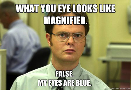 What you eye looks like magnified. False.
My eyes are blue.  Dwight