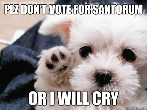 Plz Don't vote for Santorum  Or I will cry  