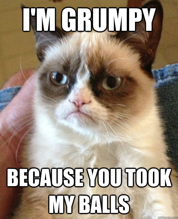 i'm grumpy because you took my balls  Grumpy Cat