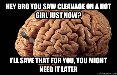 Hey bro you saw cleavage on a hot girl just now? I'll save that for you, you might need it later  Good Guy Brain