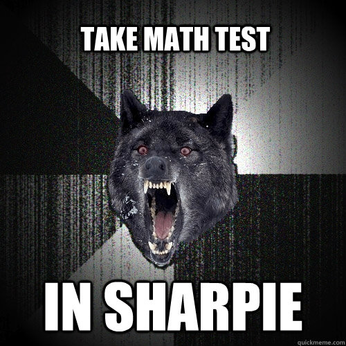in sharpie Take math test  Insanity Wolf