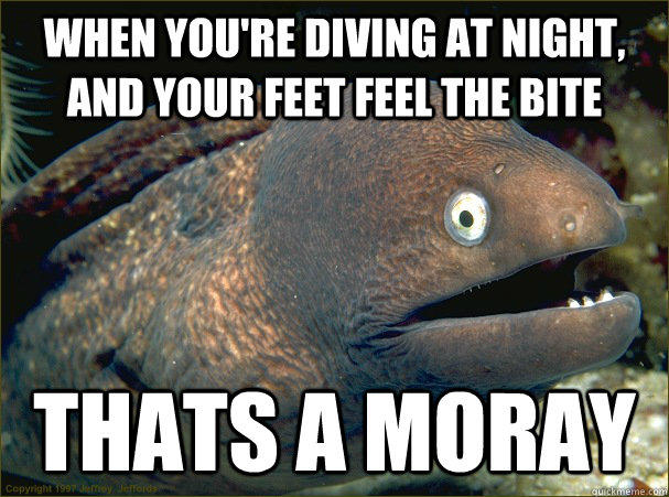 when you're diving at night, and your feet feel the bite thats a Moray  Bad Joke Eel