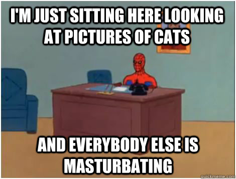 I'm just sitting here looking at pictures of cats AND everybody else is MASTuRBATING  
