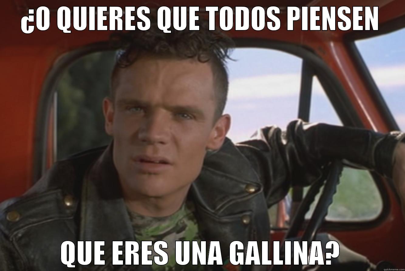 CHICKEN MCFLY - ¿O QUIERES QUE TODOS PIENSEN QUE ERES UNA GALLINA? Misc