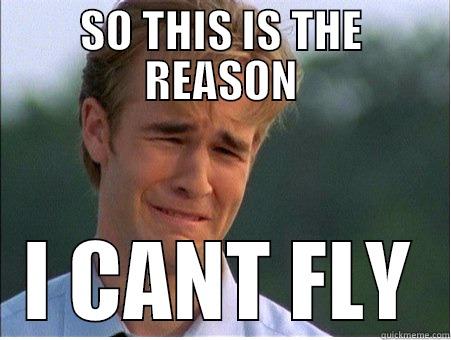 SO THIS IS THE REASON I CANT FLY 1990s Problems