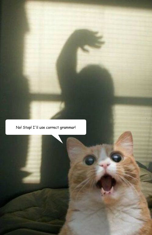 No! Stop! I'll use correct grammar! - No! Stop! I'll use correct grammar!  Misc