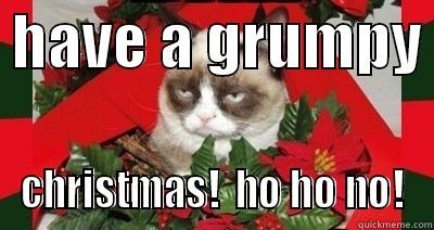 HAVE A GRUMPY  CHRISTMAS!  HO HO NO! Misc