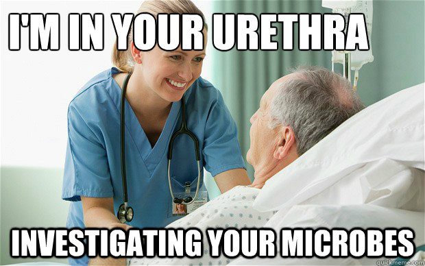 I'm in your urethra Investigating your Microbes  