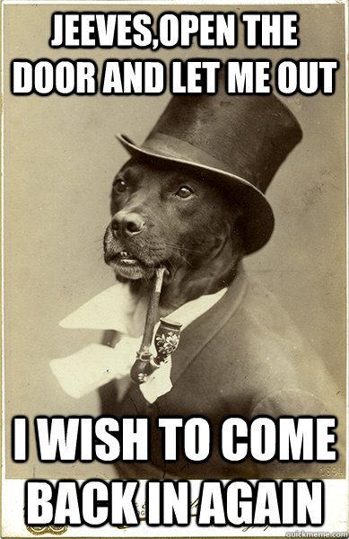 Jeeves,open the door and let me out I wish to come back in again - Jeeves,open the door and let me out I wish to come back in again  Old Money Dog