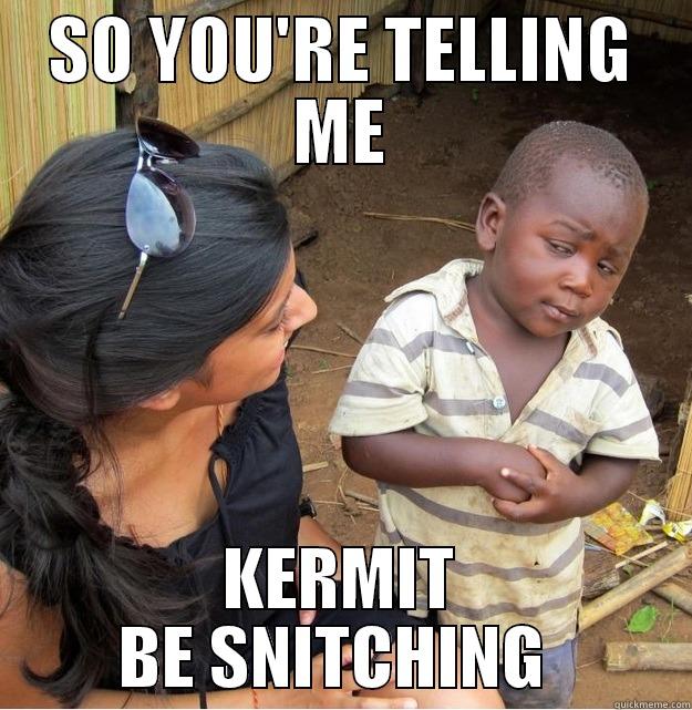 SO YOU'RE TELLING ME KERMIT BE SNITCHING  Skeptical Third World Kid