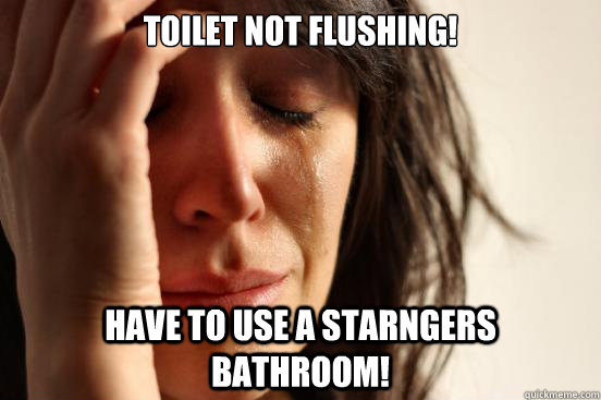 Toilet not flushing! Have to use a starngers bathroom!  First World Problems
