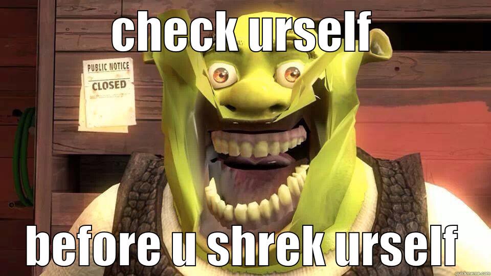 weird shrek on fire - CHECK URSELF BEFORE U SHREK URSELF Misc