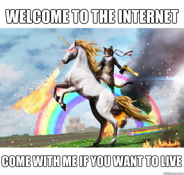 Welcome to the internet come with me if you want to live  