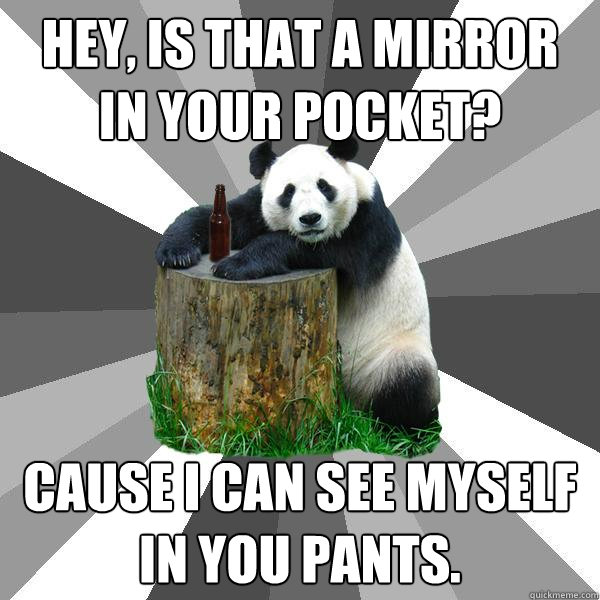 Hey, is that a mirror in your pocket? Cause I can see myself in you pants.  Pickup-Line Panda