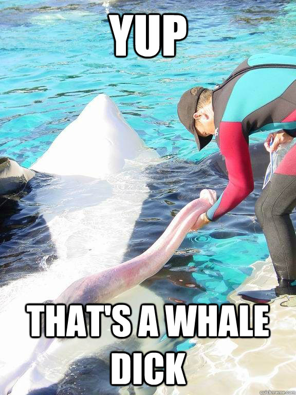 Yup That's a whale dick - Yup That's a whale dick  Misc