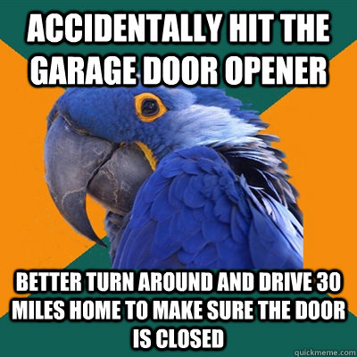 Accidentally hit the garage door opener     Better turn around and drive 30 miles home to make sure the door is closed  Paranoid Parrot