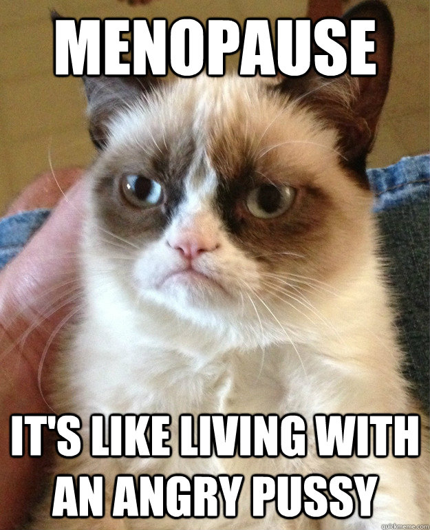 menopause it's like living with an angry pussy  Grumpy Cat