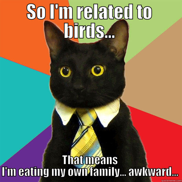 SO I'M RELATED TO BIRDS... THAT MEANS I'M EATING MY OWN FAMILY... AWKWARD... Business Cat