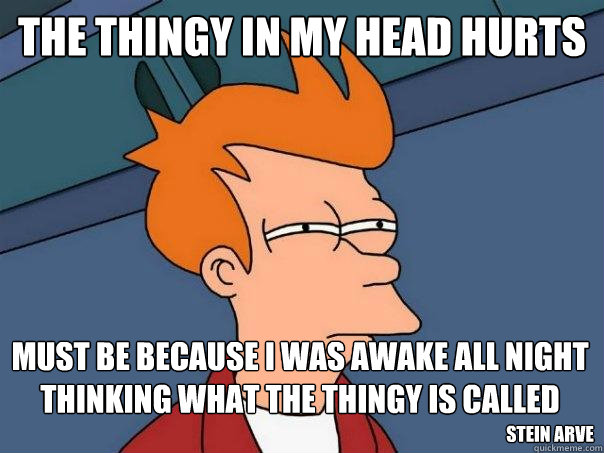 the thingy in my head hurts must be because i was awake all night thinking what the thingy is called stein arve  Futurama Fry