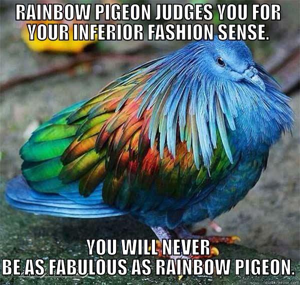 RAINBOW PIGEON JUDGES YOU FOR YOUR INFERIOR FASHION SENSE. YOU WILL NEVER BE AS FABULOUS AS RAINBOW PIGEON. Misc