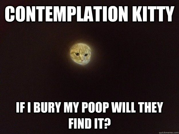 Contemplation kitty if I bury my poop will they find it?  Moon Cat