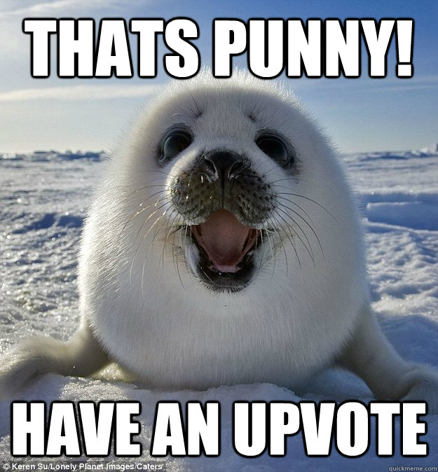 THATS PUNNY! HAVE AN UPVOTE  Easily Pleased Seal
