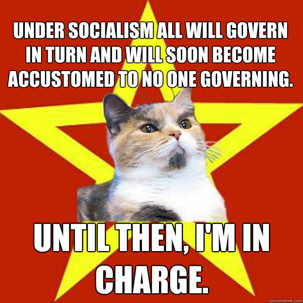 Under socialism all will govern in turn and will soon become accustomed to no one governing. Until then, I'm in charge.  Lenin Cat