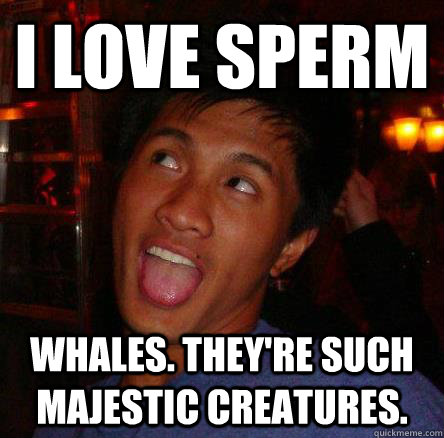I Love sperm whales. they're such majestic creatures.  