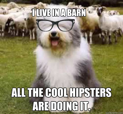 I live in a barn All the cool hipsters are doing it.   