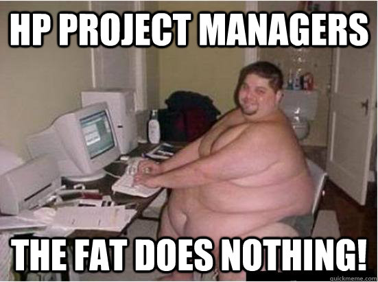 HP Project Managers The fat does nothing! - HP Project Managers The fat does nothing!  Fat Guy on Computer
