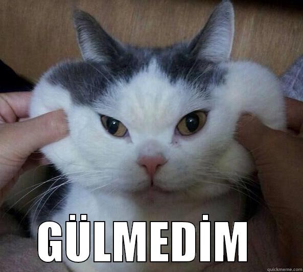  GÜLMEDİM  Misc
