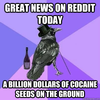 great news on reddit today a billion dollars of cocaine seeds on the ground  Rich Raven