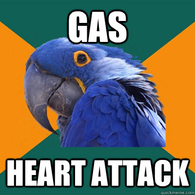 Gas heart attack  Paranoid Parrot