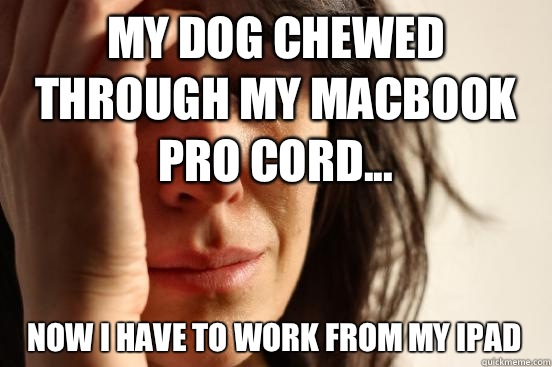My dog chewed through my MacBook Pro cord... Now I have to work from my iPad   First World Problems