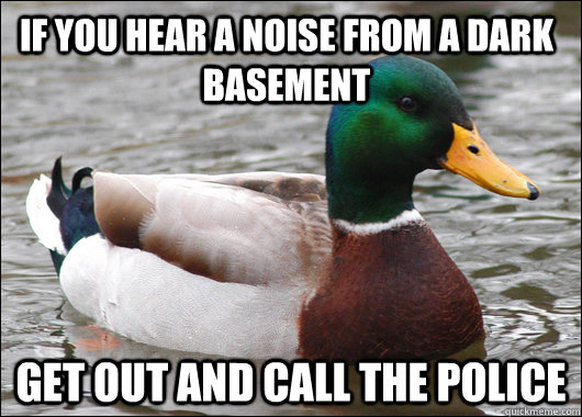 IF you hear a noise from a dark basement get out and call the police  Actual Advice Mallard