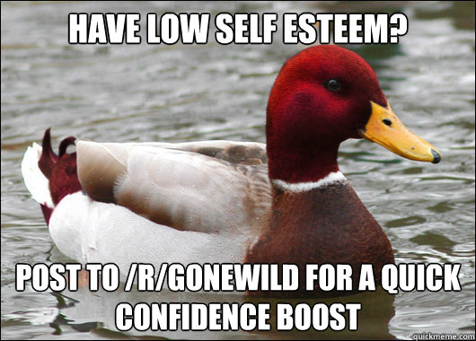 Have low self esteem? post to /r/gonewild for a quick confidence boost  Malicious Advice Mallard