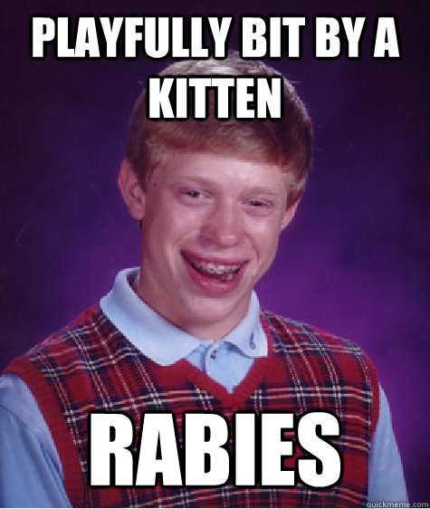 Playfully bit by a Kitten Rabies  Bad Luck Brian