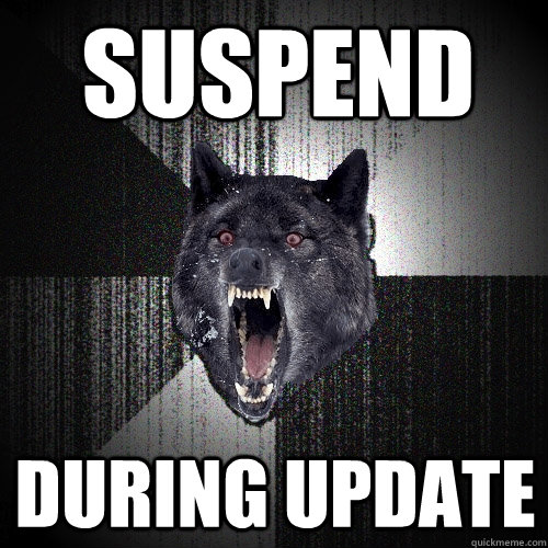 suspend  during update  Insanity Wolf