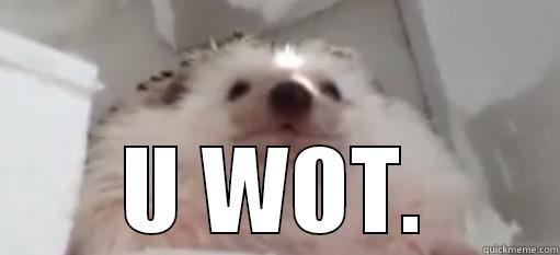  U WOT. Misc