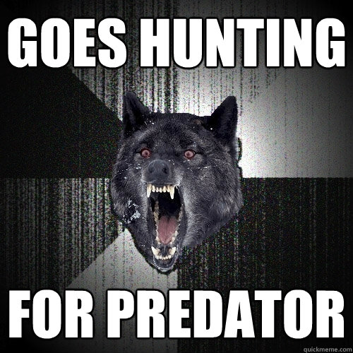 Goes hunting for predator  Insanity Wolf