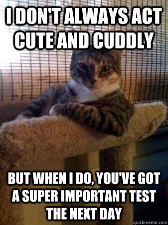 I don't always act cute and cuddly But when I do, you've got a super important test the next day - I don't always act cute and cuddly But when I do, you've got a super important test the next day  I dont always kitteh