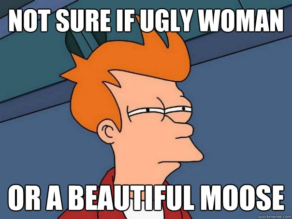 Not sure if ugly woman or a beautiful moose  Futurama Fry