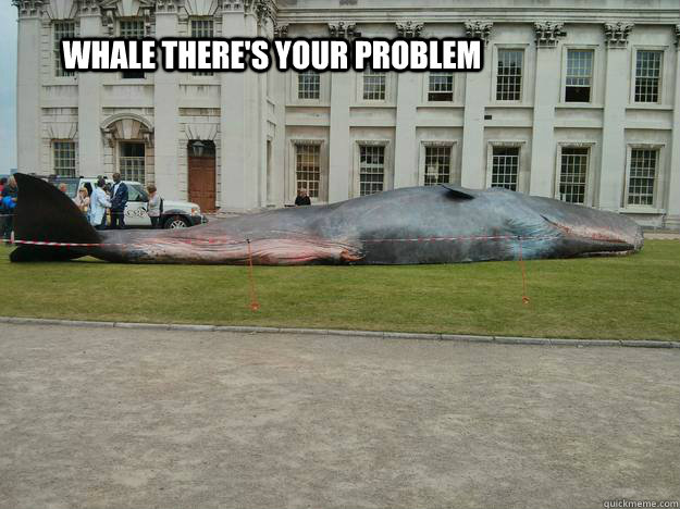Whale there's your problem  Worst pun ever