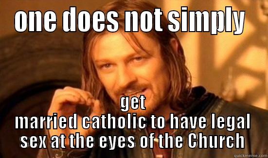 ONE DOES NOT SIMPLY  GET MARRIED CATHOLIC TO HAVE LEGAL SEX AT THE EYES OF THE CHURCH Boromir