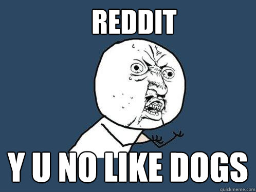 reddit y u no like dogs  Y U No